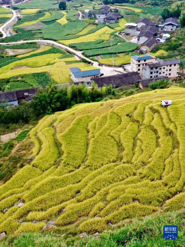 云顶国际yd