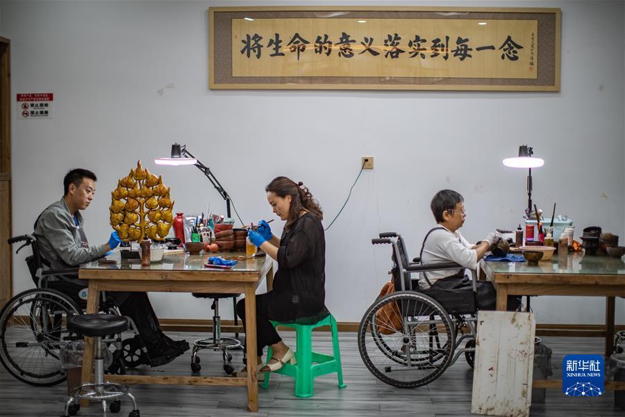 白菜网址